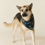Pet Bandana Cloud Jersey in Winter Toile
