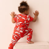 Viv Kids Set | Zen